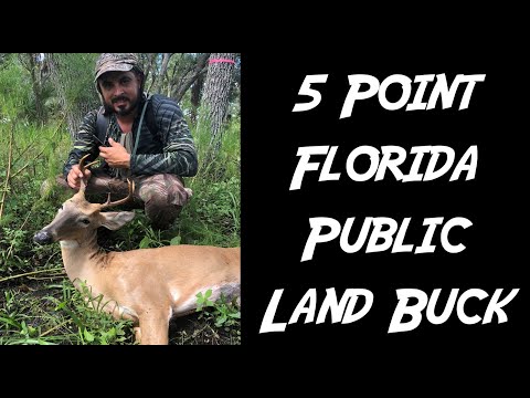 download lagu mp3 mp4 Pt2018, download lagu Pt2018 gratis, unduh video klip Pt2018