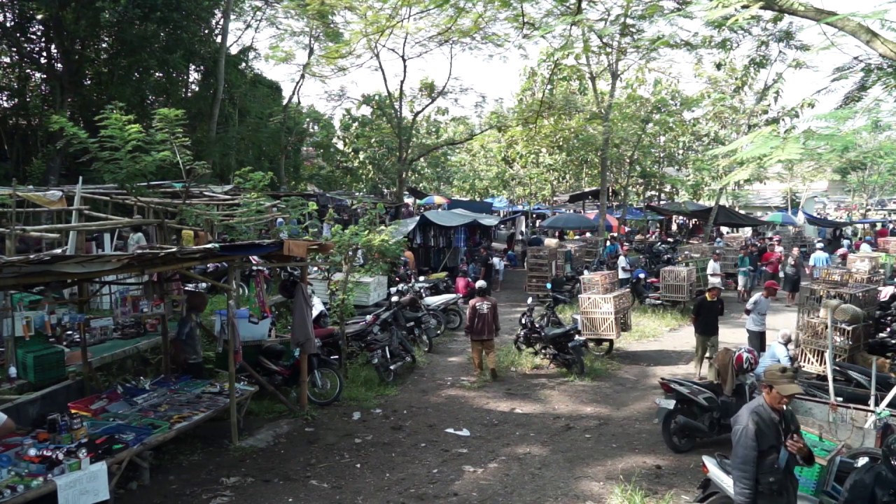 Dluwang: the Past from the Trash