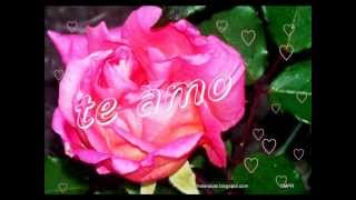 TRONO DE MEXICO AY AMOR