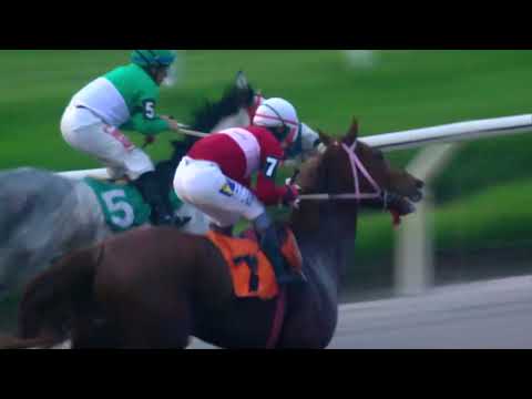 230603 C 06 - DELFINITA - HIPODROMO DE MAROÑAS