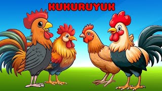 Download lagu Lagu Anak 🇮🇩 Kuku Kukuruyuk - Lagu Ayam Jago Dan pok Ame Ame Cilukba - Lagu Anak Indonesia mp3