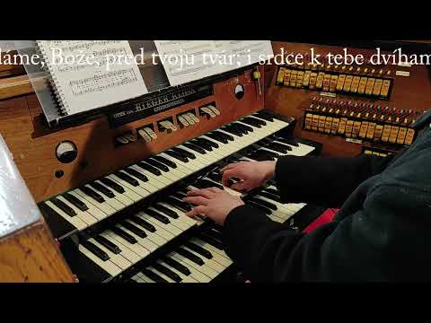 JKS 256 - Tu skrúšení v prach padáme (Dóm sv. Alžbety)