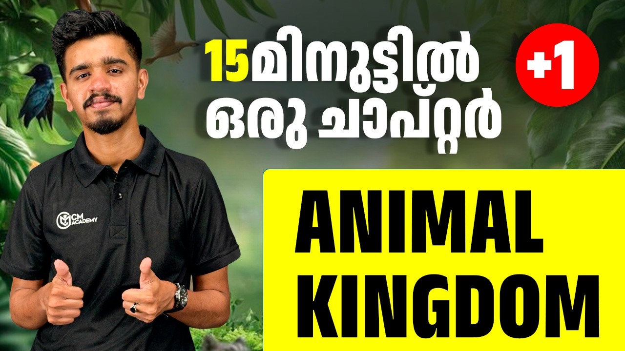 Animal Kingdom | One Shot | CM Academy