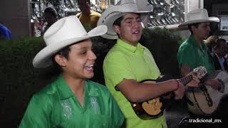 El Trío Eco Potosino toca El Querreque desde la calle del huapango en SLP