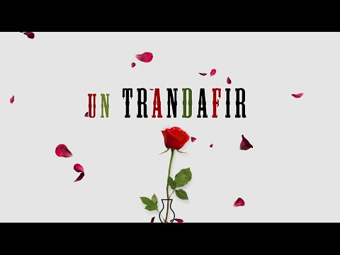 Sergiu Chirila - Cand Privesti un Trandafir (Lyric Video)