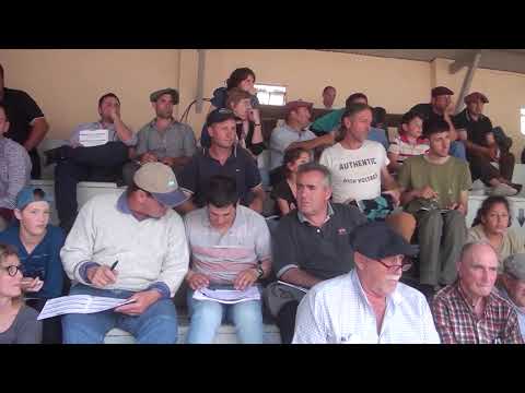 BELLAMAR PRÓXIMOS REMATES: 13/07 EN MARGARITA BELÉN (CHACO), 12/08 EN LAS VARILLAS (CÓRDOBA)