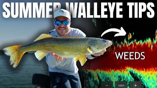 Top Summer Walleye Tips (And Mistakes to Avoid)
