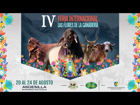 IV FERIA INTERNACIONAL LAS FLORES DE LA GANADERÍA