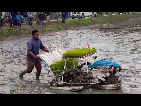 সমলয় চাষাবাদ