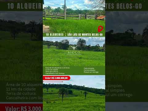 Terra de cultura em São Luís de Montes Belos - Go / whatsapp 62 99373-6407