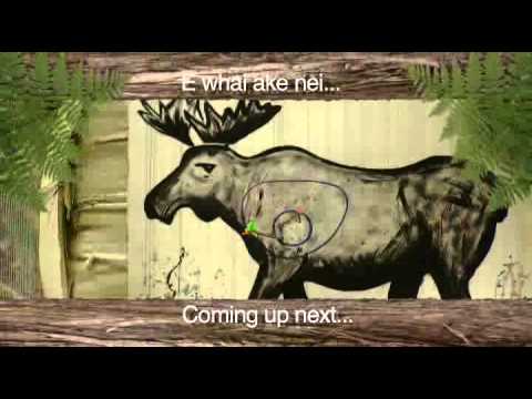 Hunting Aotearoa Bowhunting Part 1