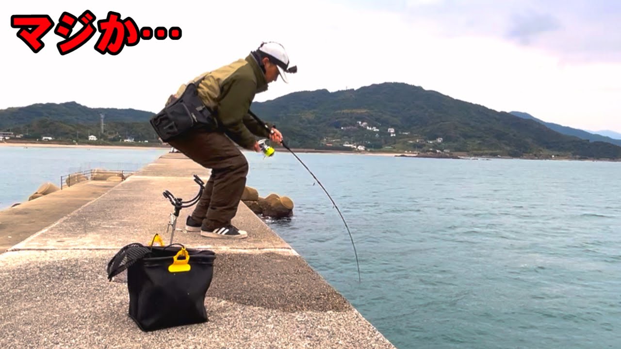 アジを泳がせ放置した竿に高級な大魚が掛かってました！