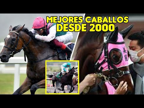 LOS 10 MEJORES CABALLOS DEL SIGLO XXI #caballos #horses #carreras