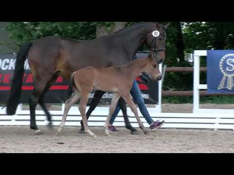 Wauro, Feinrich-Romanov-Wanderbursch II