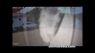 2025年最後の鳥見(動画あり)