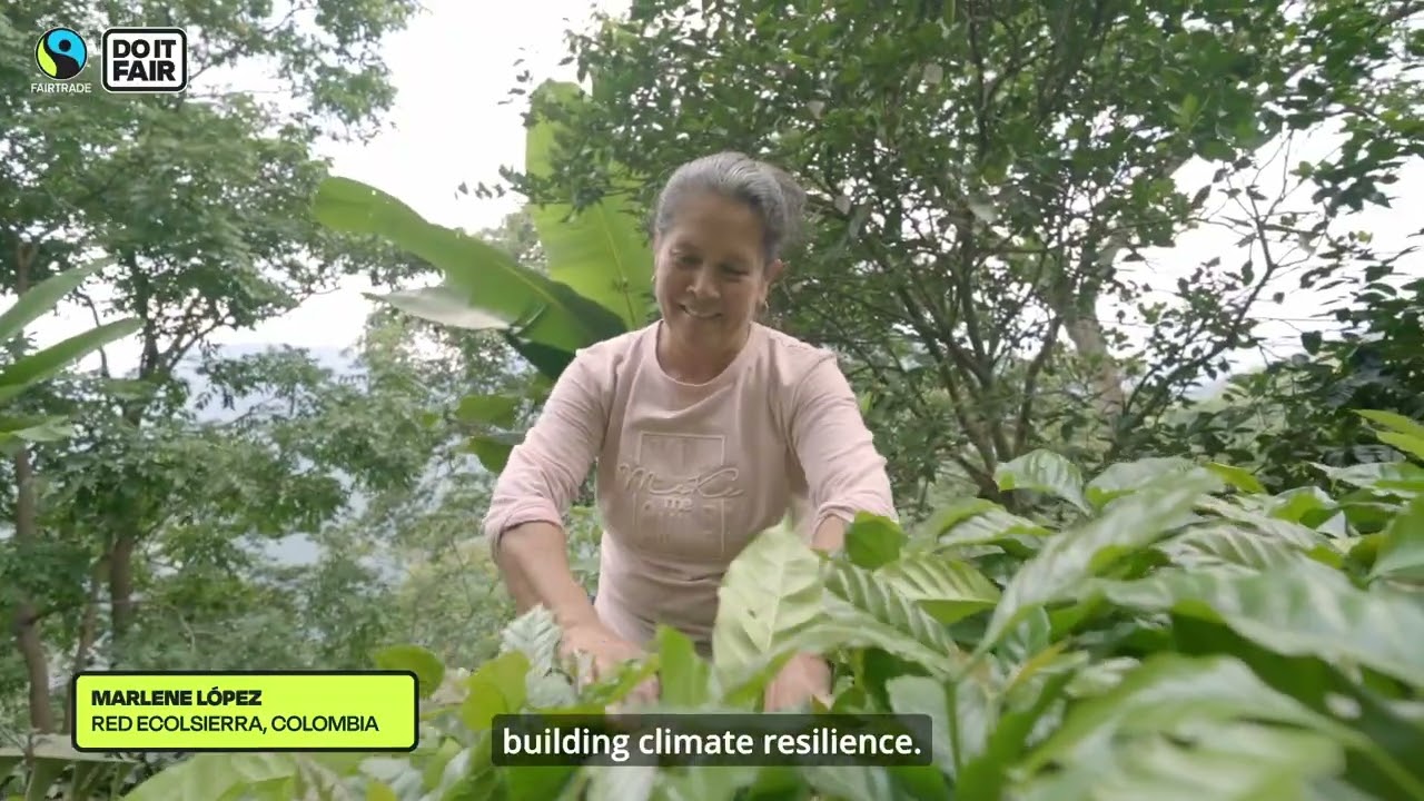 See how Fairtrade is changing lives — and how your partnership can too