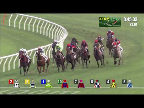 1/5/2022 (633) Packing Treadmill - Z Purton