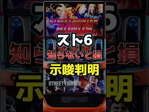 ストリートキャッツの動画