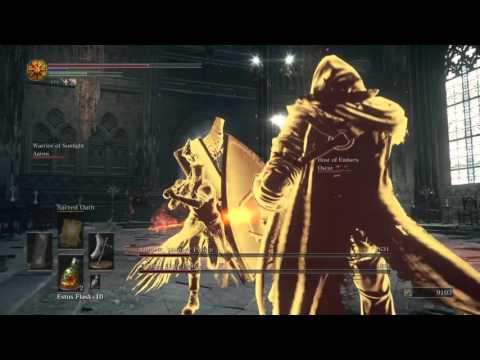 DragonSlayer Greataxe Coop Build