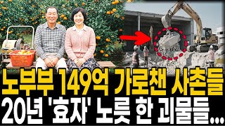 Download lagu 2001년 제주 귤농장 70대 부부 실종, 149억 유산 노린 사촌 형제의 충격적인 배신 mp3