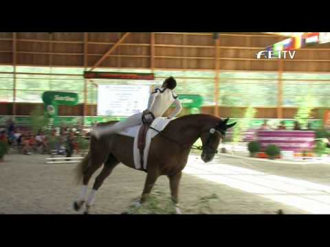 FEI World Vaulting Championships  for Seniors 2012 - Le Mans - Nicolas Andreani