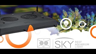 SKY LED