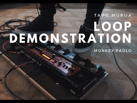 Tavo Murua - Loop Demonstration - Monkey Paolo
