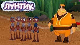 Лунтик | Лес 🌲🌳🌿 Сборник мультфильмов для детей