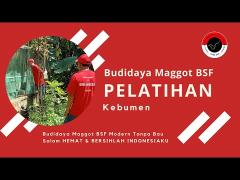 Memotong ulasan staf torus Exciter kuda untuk perempuan dan laki-laki