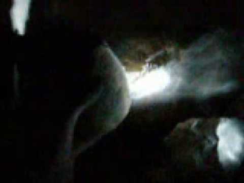 image-What kind of dragons live in caves?