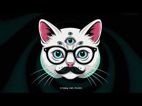 Trippy Minimal Techno Mix 2025