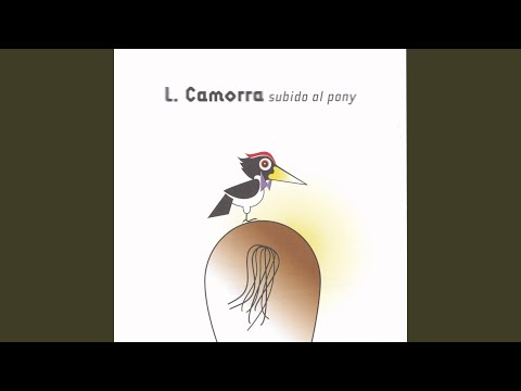 Kiki video