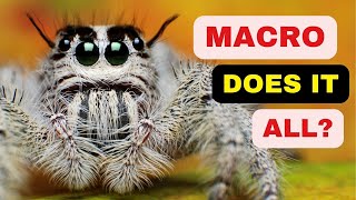 Why Every Photographer Needs a Macro Lens