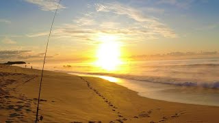 Download Lagu Beach Fishing Coffs Harbour. FLATHEAD, TAILOR, WHITING, BREAM. Random clips 2023. Thumbnail