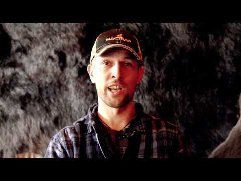 Épisode 2 - Le rêve de Slavomir - Tisonagan - saison 4