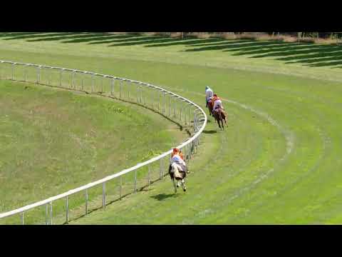 Avenches/15.08.2018/Poneys D - Preis der Firma Intool AG