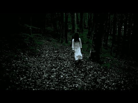 CiviC RebelS - Lacrimi de codru (Sânziene), Official Music Video