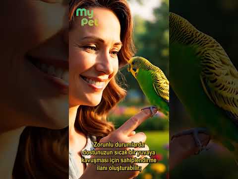 mypet.my