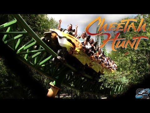 Video review of Cheetah Hunt by Coaster Studios