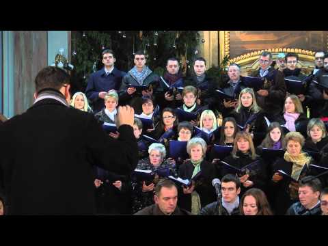 DIVA MATI - Suboticki tamburaski orkestar