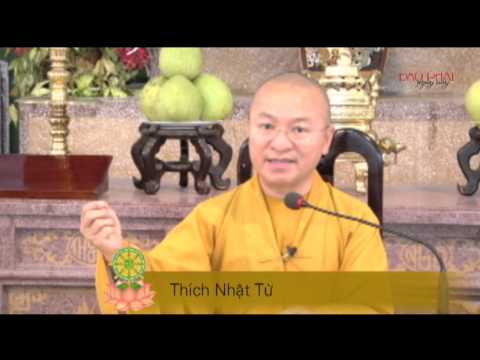Vấn đáp: Trở về Đạo Phật nguyên chất để phụng sự nhân sinh (27/05/2014) - Thích Nhật Từ