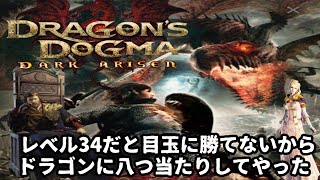 (5) DDDA ドラゴンズドグマダークアリズン