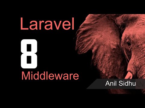 Laravel 8 tutorial What is middleware