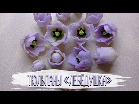 Заливка тюльпанов "Лебёдушка"