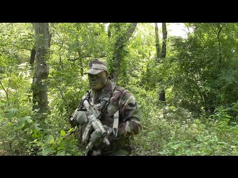 French CCE Camouflage Effectiveness