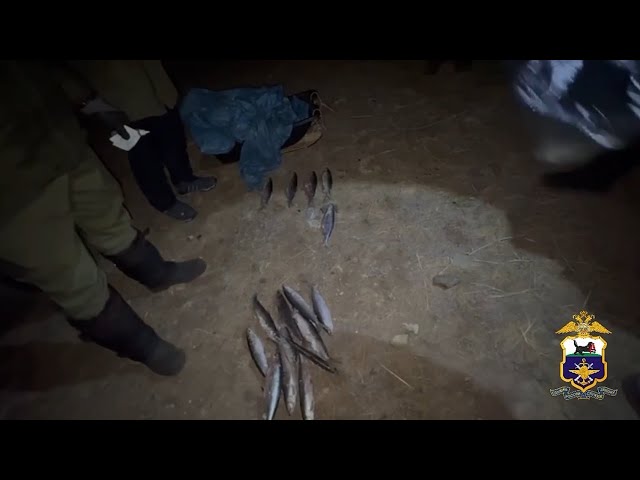 Незаконный вылов омуля