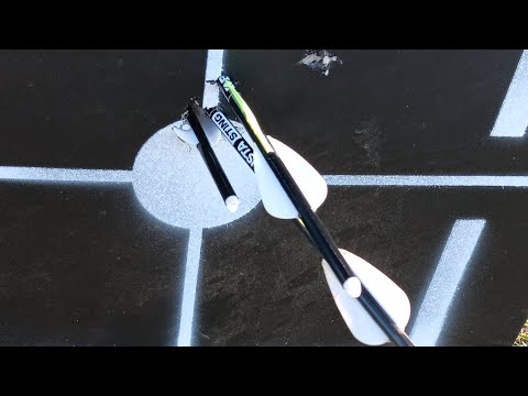Ballista Bat Reverse sight in at 20 yards