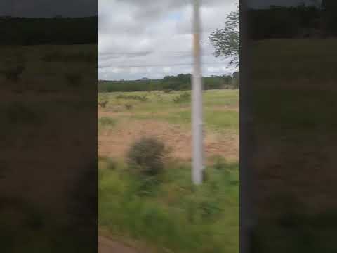 Pelas estradas de Ponto Novo, Bahia