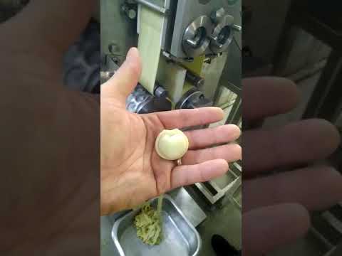 Пельменный аппарат АП 250 П