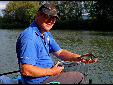 Catching small perch on the Gloucester Canal with chop worm.